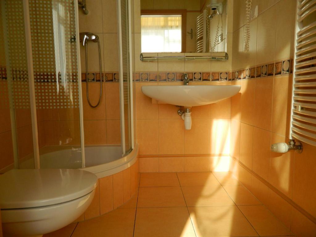 Bed and breakfast Bursztyn
